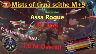 Mists of Tirna Scythe M+9 Assa Rogue 1,0M Overall WoW The War Within M+ Season 1 Nebel Tirna Scythe