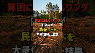 貧困に苦しむルワンダ…日本人が民族の宝木を大量伐採した結果　#海外の反応  #日本