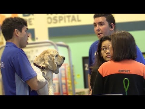 Fake Pet Smart Employee Prank! Fake Pet Smart Employee Prank!