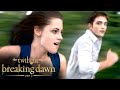 The First 5 Minutes of The Twilight Saga: Breaking Dawn - Part 2