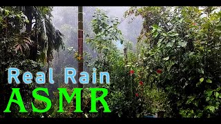 Real Rain ASMR | Rain Sounds for Sleeping | Calming ASMR | Relaxing rain sounds | Peaceful rain ASMR