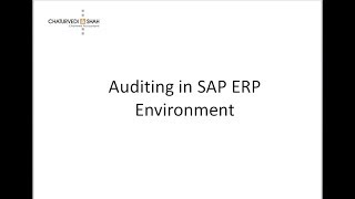 Detailed Training on Auditing in SAP ERP Environment