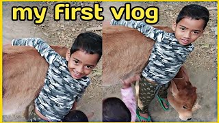 Mera Pehla Blog ll My First Vlog ll Assam Village ll Hindi Vlog