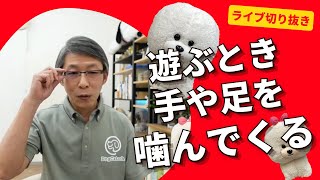 【犬のしつけ】遊ぶときに手や足を狙って噛んでくる…【悩み相談ライブ切り抜き】