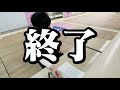 【検証】東大生は山手線一周の間に何単語覚えられるのか？