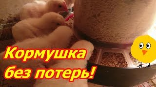 Кормушка без потерь!