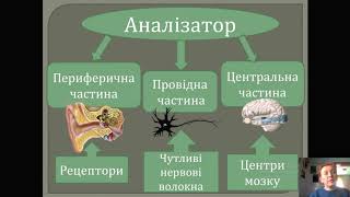 Загальна характеристика сенсорних систем