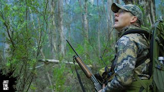 The dogs smell blood | Just the Hunt