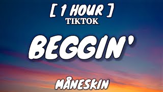 Måneskin - Beggin' (Lyrics/Testo) [1 Hour Loop] "I'm beggin', beggin' you" [TikTok Song]
