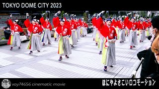 【シネスコ】ほにや／ふるさと祭り東京 20230115 Tokyo Dome City