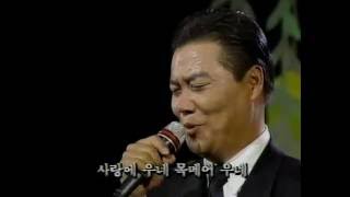 이슬비,사랑에 울어,무엇하러 왔니 - 남진 94년도 Live