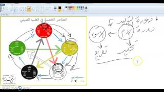 العناصر الخمسة في الطب الصيني - دورة التوليد (نقاط التحفيز و التفريغ)