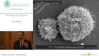 Conférence - E.  VIVIER - Manipulation des cellules Natural Killer vers des thérapies personnalisées