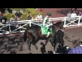 2016 KENTUCKY DERBY PROFILE: Mor Spirit