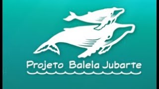 Pesquisador Brasileiro é Piada no Exterior!!!   Projeto Baleia Jubarte