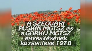 A szegvári Puskin MgTSz és a Gorkij MgTSz egyesítése 1978