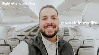 Working, flying to NYC, bid results and some updates… - Flight Attendant Life