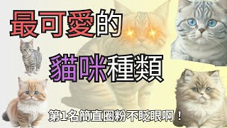 最可愛的貓咪種類-第1名圈粉無數太狂啦 #cuteanimals  #cutecats #可愛動物  #可愛貓咪