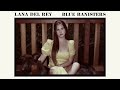 lana del rey sweet carolina official audio