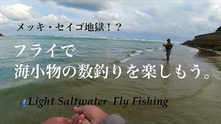 メッキ・セイゴ地獄！？フライでお手軽海小物釣り　【海のフライフィッシング】