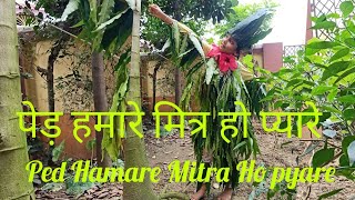 पेड़ हमारे मित्र हो प्यारे | Ped Hamare  Mitron Ho Pyare | rhymes