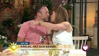 Här kysser Tilde Peter - vill få hans testosteron - Nyhetsmorgon (TV4)