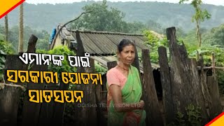 Basic Amenities Still A Distant Dream For Mankadia Tribes In Odisha