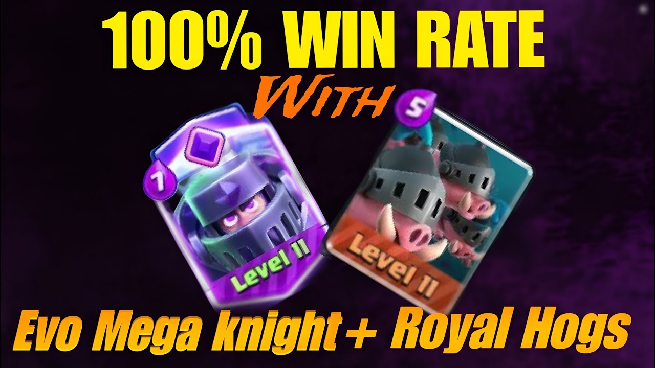 New Best Evolution Mega Knight And Royal Hogs Deck Clashroyale