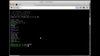 Leash - Browser Shell Session