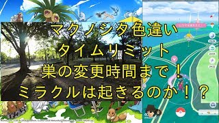 【ポケモンＧＯ】色違いマクノシタは捕獲できるのか！？タイムリミットは巣の変更時間まで！