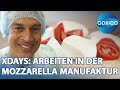 125.000 Kugeln am Tag: Harro schuftet 2 Tage lang in der Mozzarella Manufaktur | Galileo | ProSieben