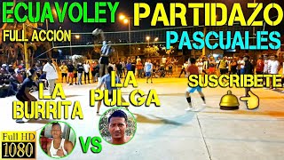 ECUAVOLEY LA PULGA VS LA BURRITA / Partidazo Pascuales Full Acción 🔥