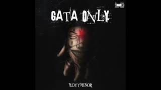 Gata Only - FloyyMenor