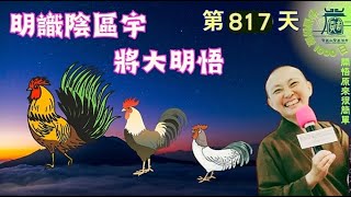 【秒懂楞嚴 #817日】明識陰區宇 (彼善男子修三摩地行陰盡者…此則名為識陰區宇) 見輝法師