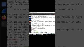 Seeds lab buffer overflow attack