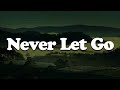 Never Let Go (Lyric) - Tyasta Pangalila, The Scott Family, Plumb