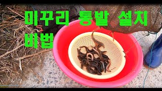 미꾸리 통발 설치 비법 2022 10 16 Untitled