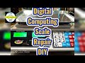 Digital Price Computing Scale Repair DIY