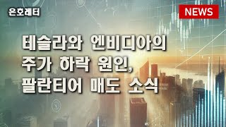 250108 테슬라와 엔비디아의 주가 하락 원인 / 아크 인베스트, 팔란티어 매도 소식 등 오늘의 경제 뉴스