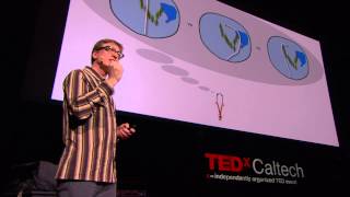 Can We Expand Our Consciousness with Neuroprosthetics?: Malcolm MacIver at TEDxCaltech