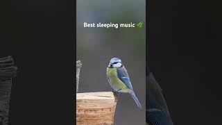 #pianomusic #relaxingmusic #sleepingmusic