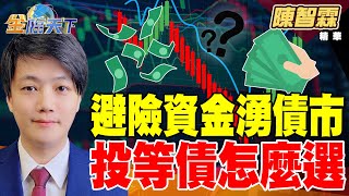 【精華】便宜AI股票買誰？ 聯發科蓄勢待發！ 避險資金湧債市 投等債怎麼選？ #陳智霖 #金臨天下 @tvbsmoney  20250217