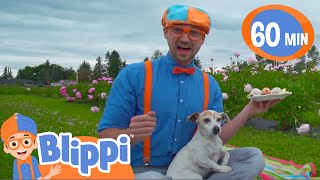 Blippi Visits a Farm and Finds Animals! | Blippi | Animals for Kids