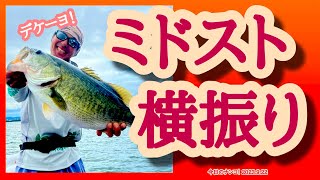 【今日のナンコ！2023.9.22】ミドストは横振り【琵琶湖バス釣り】