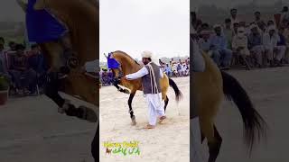 2023 BiG Horse Show | Dance Competition | Famous Horse | Brown Ghoda | Ghodi Ka Dance | Horse Point