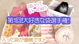 第1回！ポメラニアン犬が好きな袋はどれ！？選手権≪#660≫