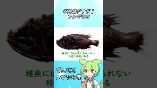 【ずんだもん解説】 不思議がすぎるフシギウオ 　#shorts #ずんだもん #生き物 #魚 #解説