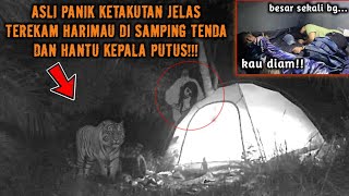 CAMPING HOROR APES BANGET DI SAMPERIN HARIMAU SAAT CAMPING DI HUTAN TEREKAM JELAS DI CCTV!!!