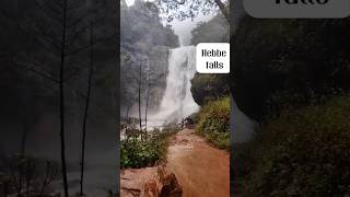 Hebbe waterfalls#waterfall #shorts#short#viralvideo#hebbefalls #touristattractions#waterfalls#nature