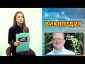 Что Откуда Почему О династиях «Википедии» воздухе облаках и омеле 15 01 25